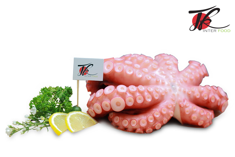 ปลาหมึกยักษ์ทาโกะ Giant Octopus (Tako)